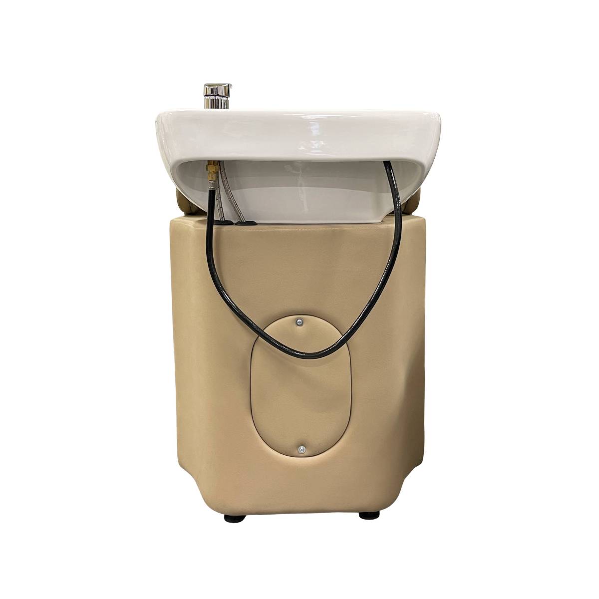 Asher Shampoo Backwash Unit