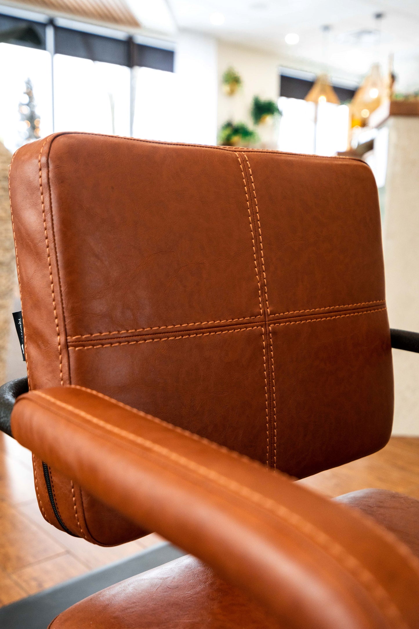 Blake Salon Styling Chair