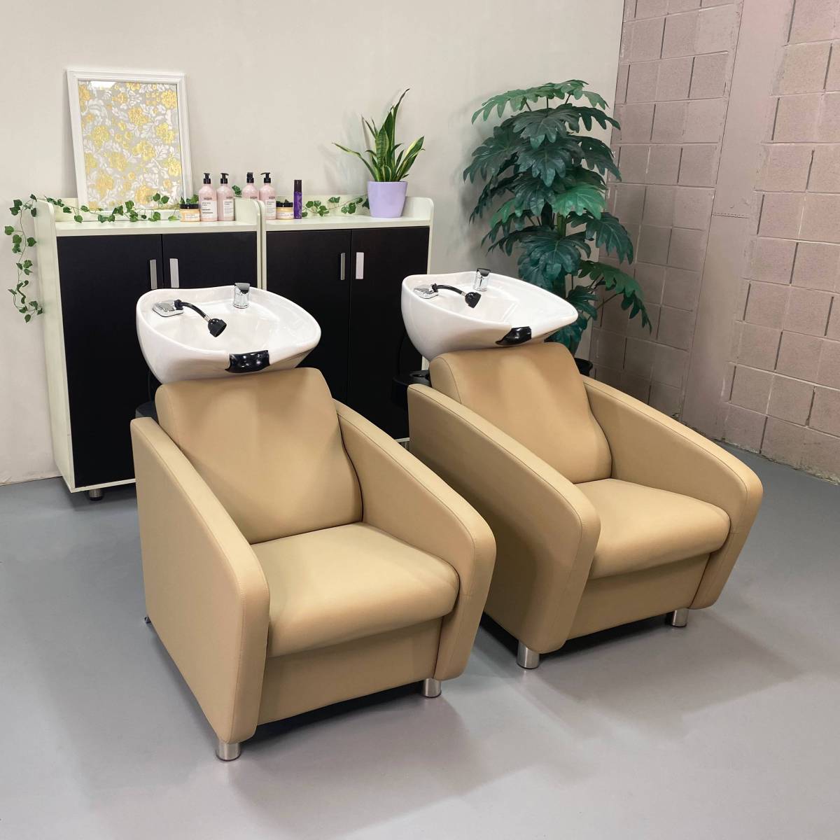 Stevenson Shampoo Backwash Unit