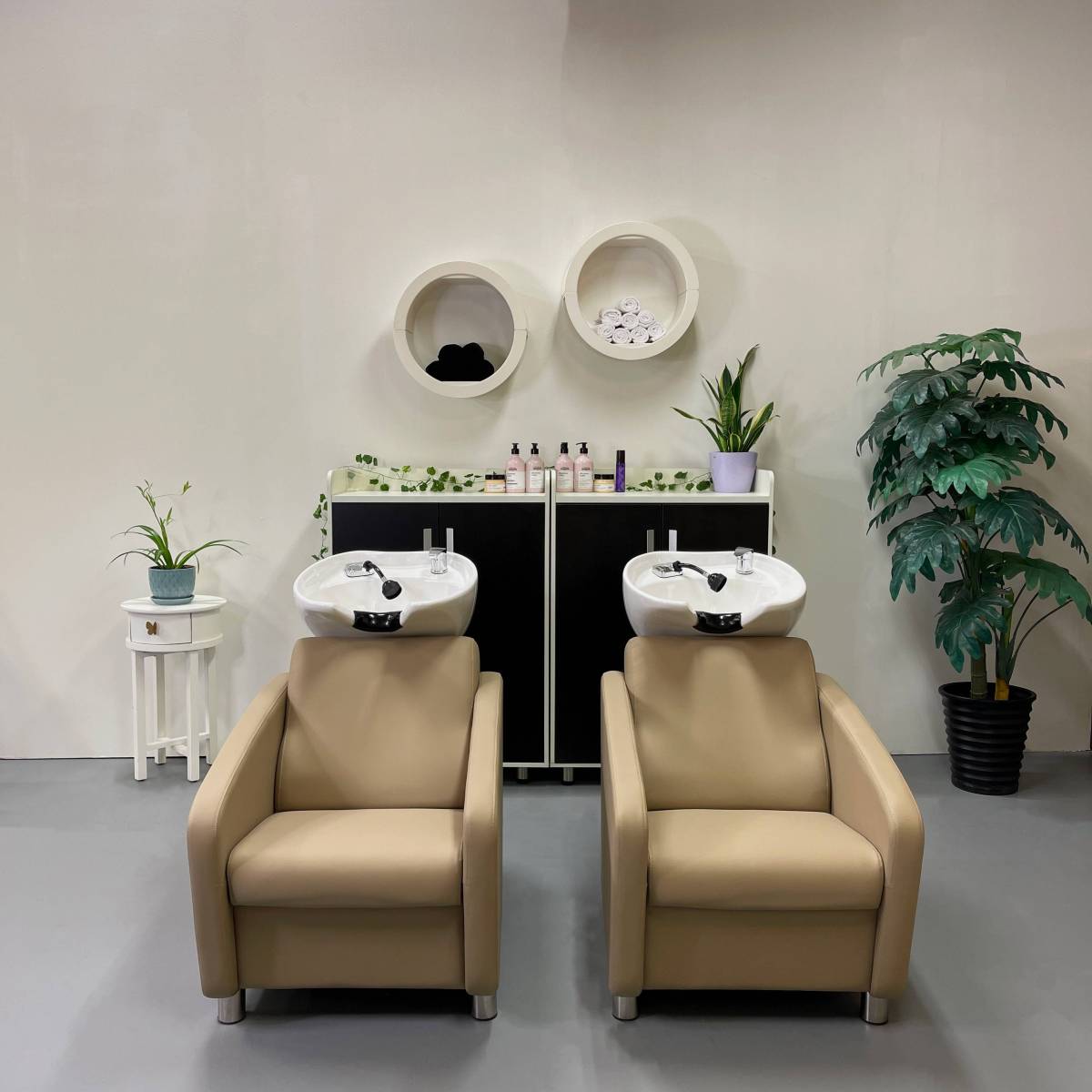 Stevenson Shampoo Backwash Unit