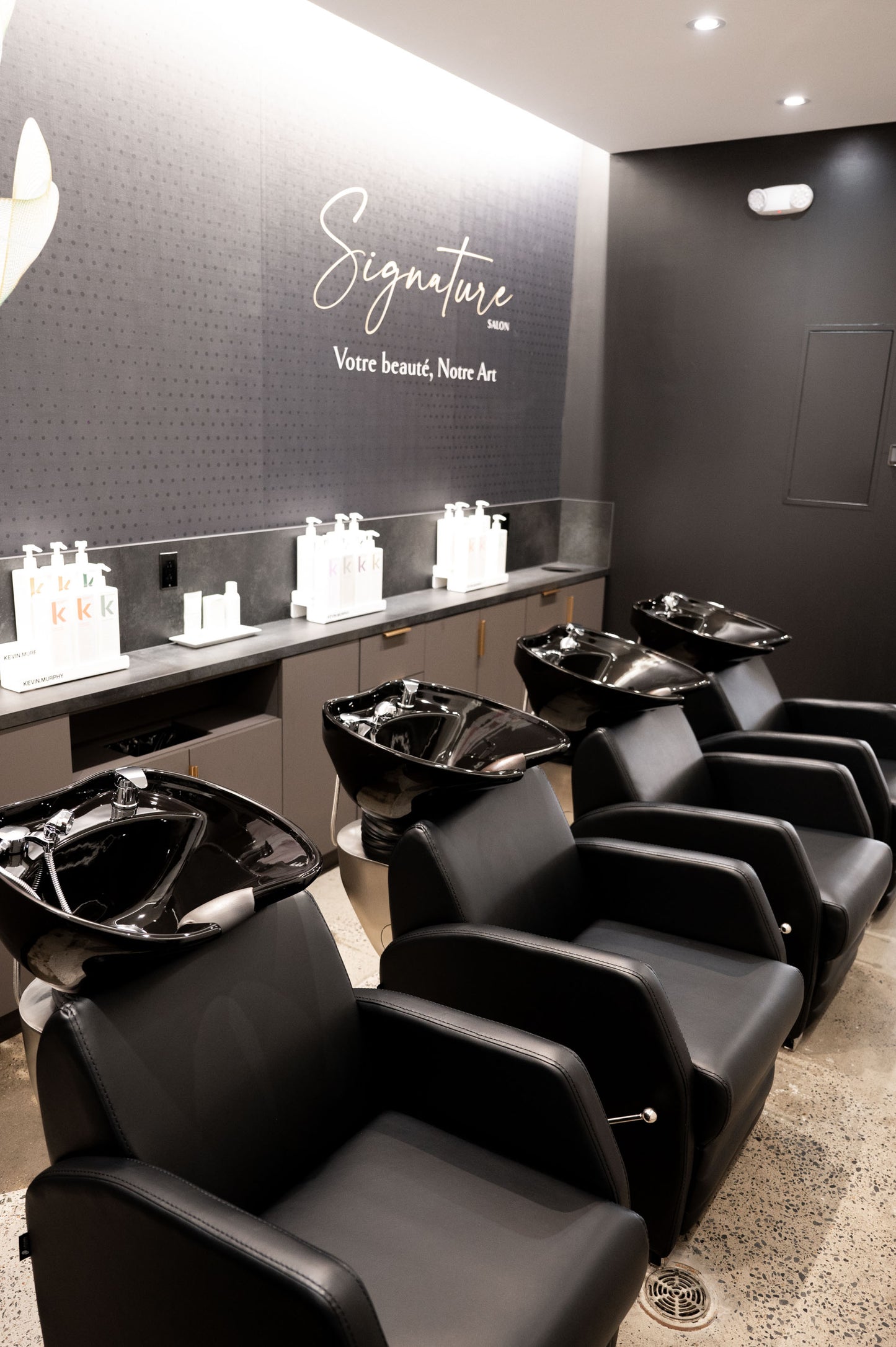 Lounge Shampoo Backwash Unit