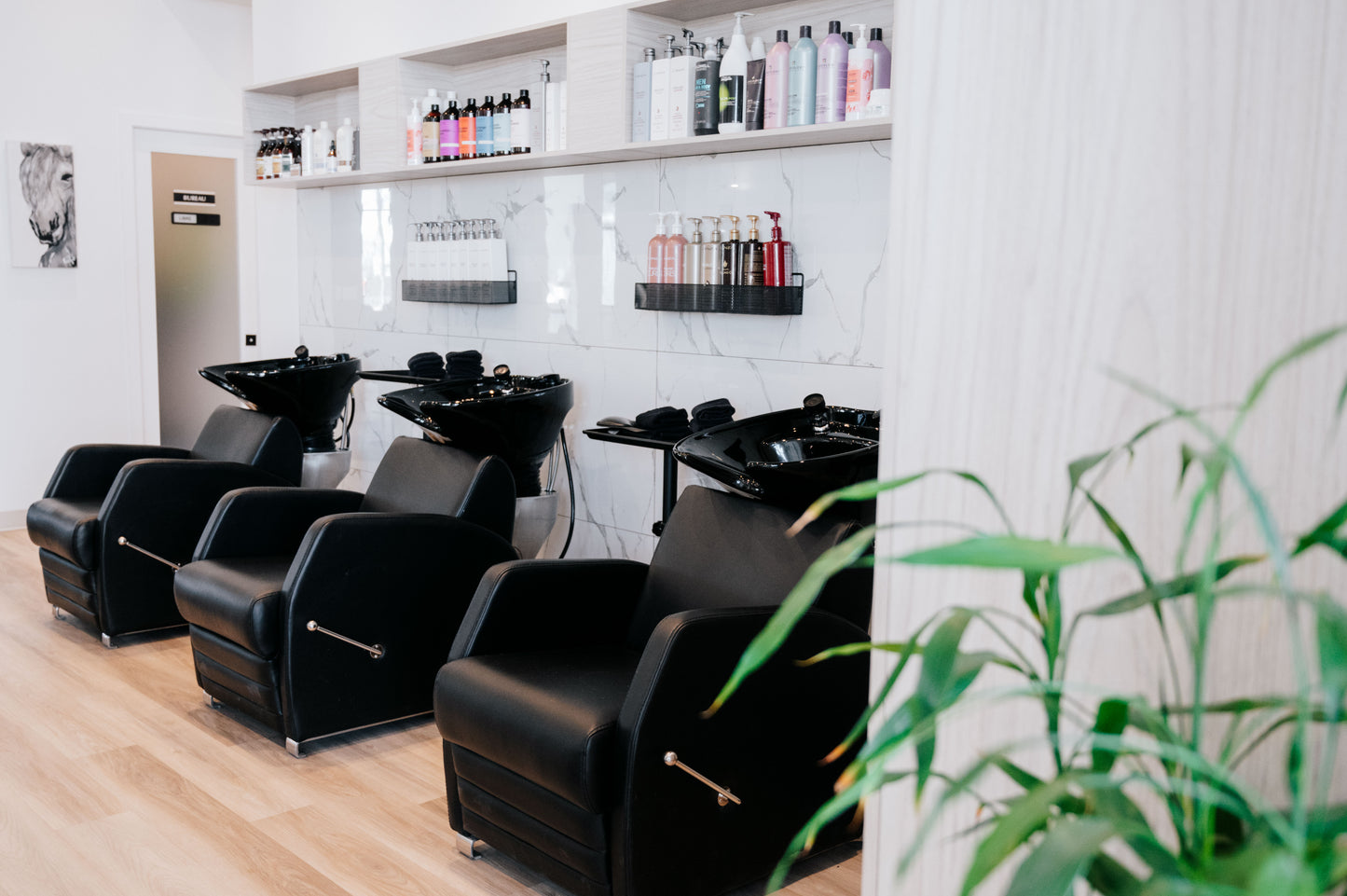 Lounge Shampoo Backwash Unit