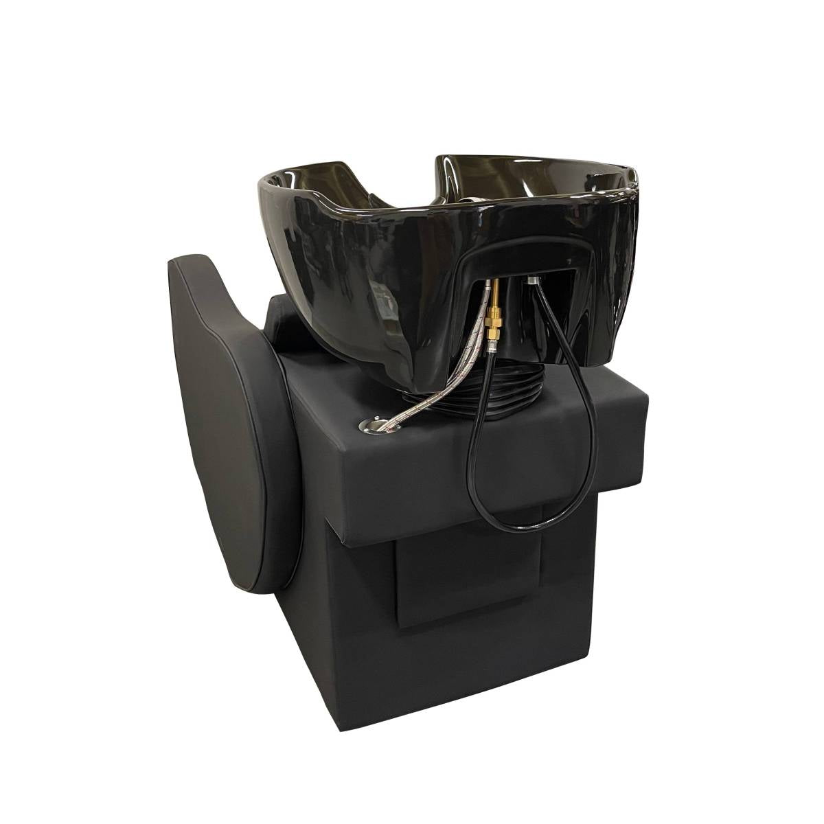 Austin Shampoo Backwash Unit