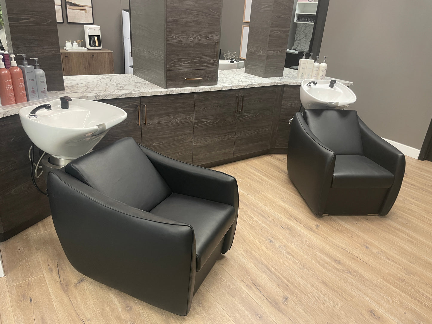 Lanvain Taz Shampoo Backwash Unit