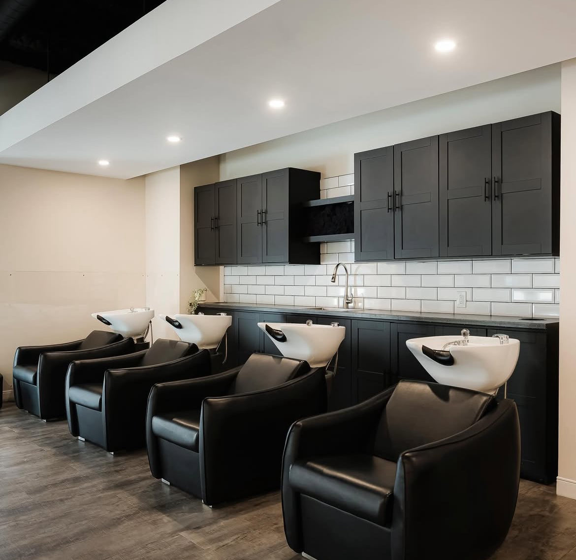 Taz Shampoo Backwash Unit