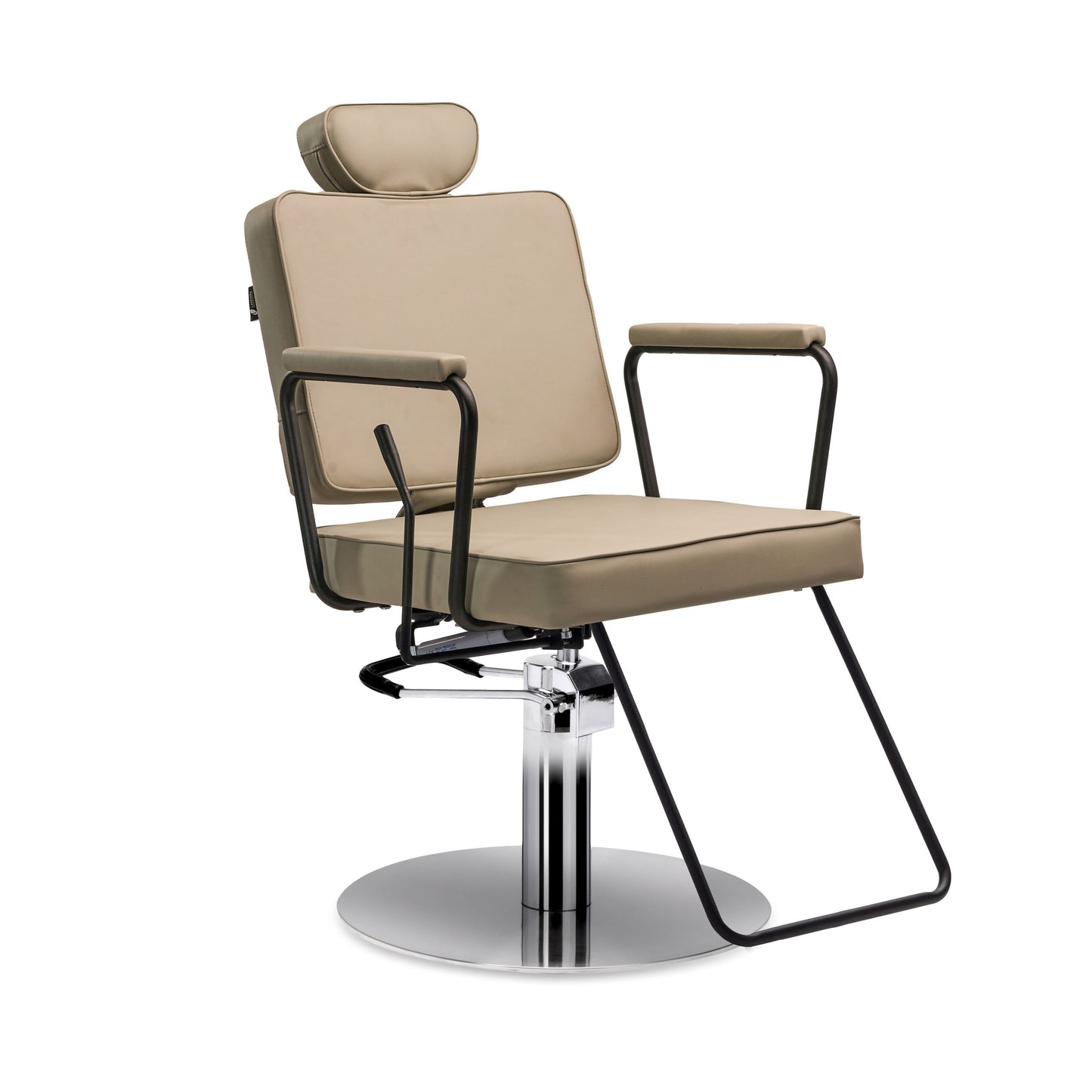 Jena All-Purpose Reclining Salon Chair