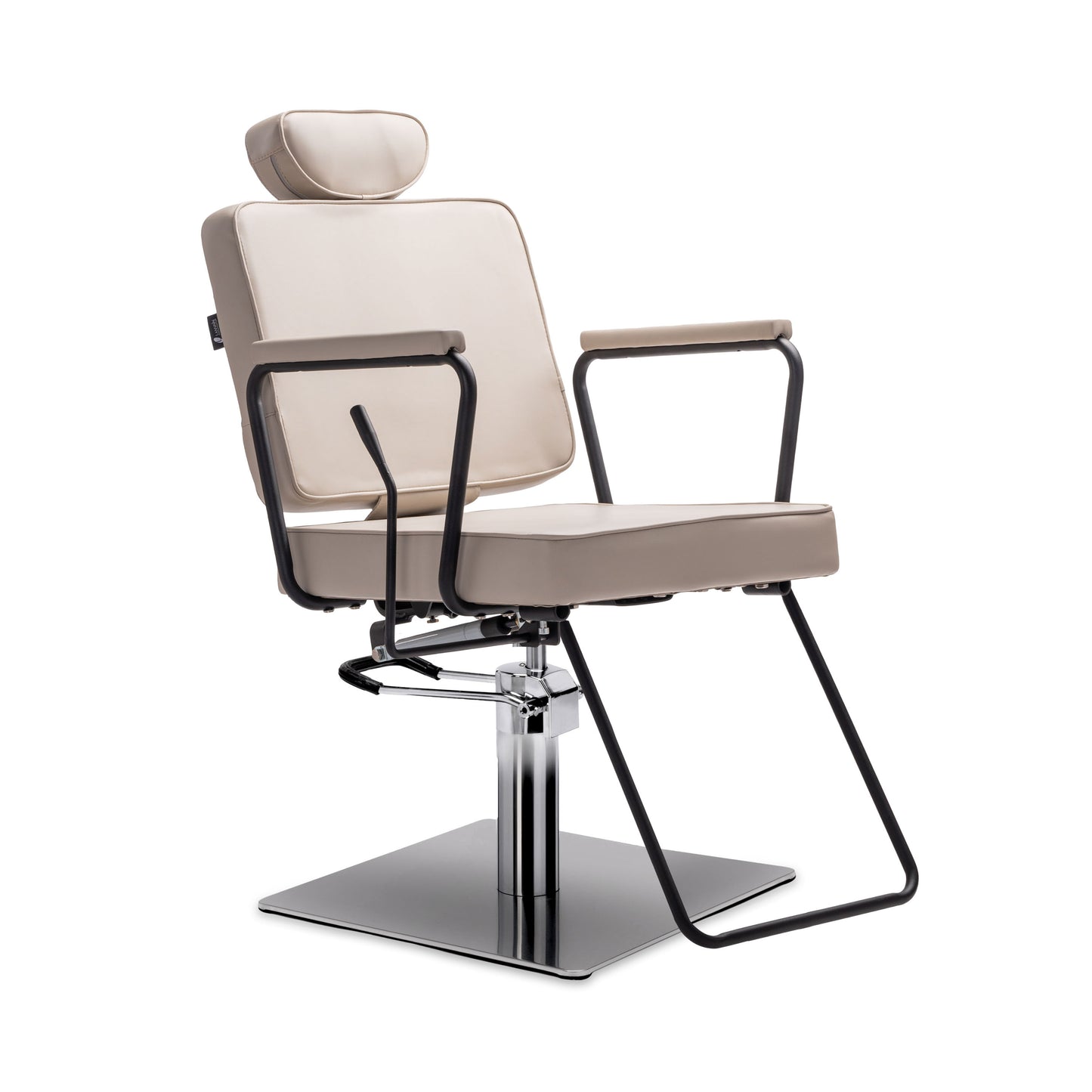 Jena All-Purpose Reclining Salon Chair