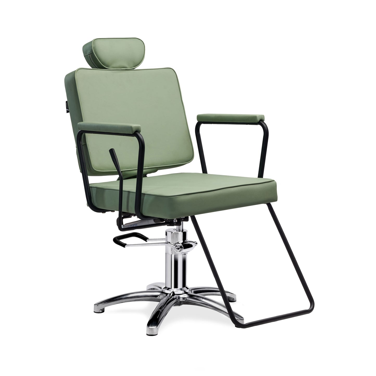 Jena All-Purpose Reclining Salon Chair