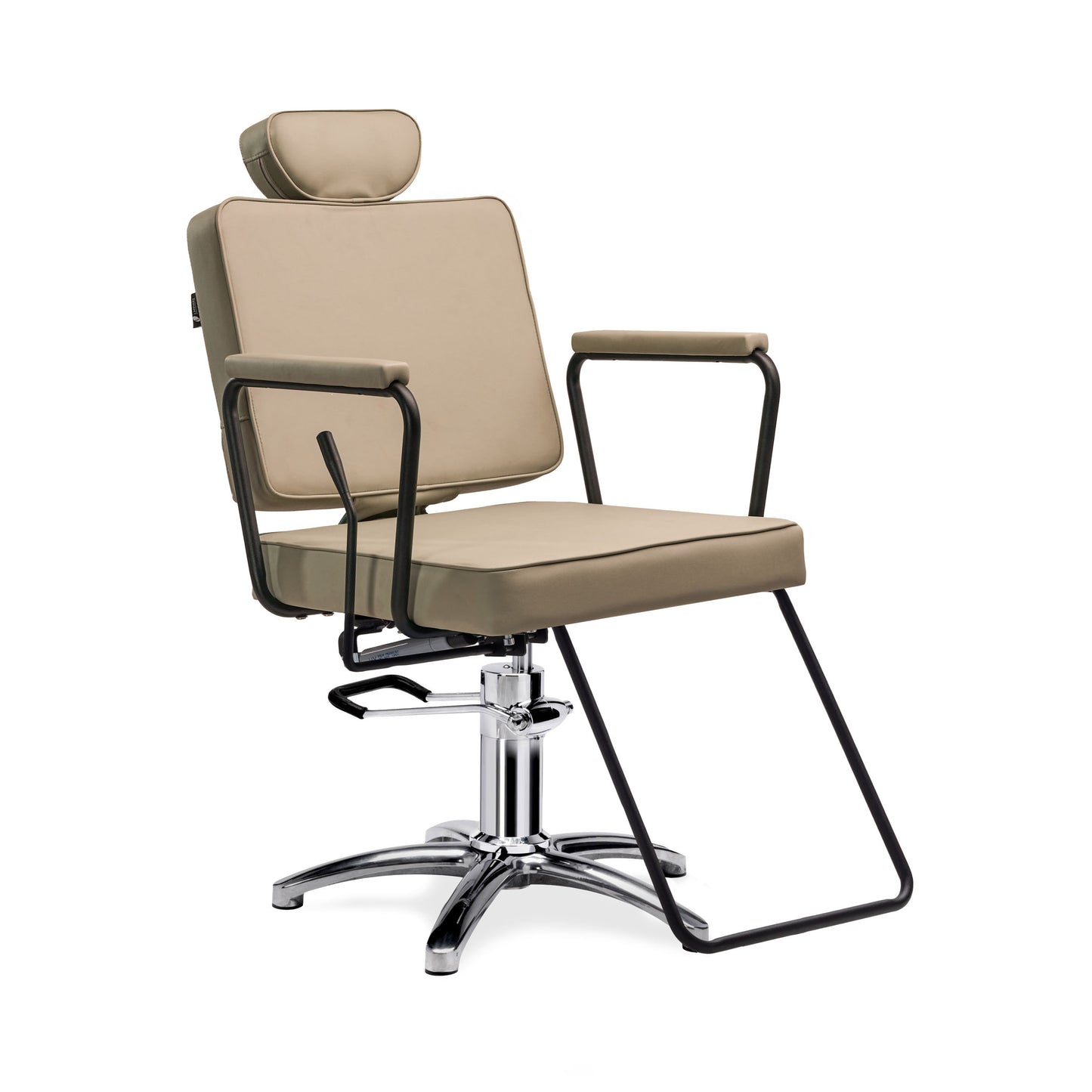 Jena All-Purpose Reclining Salon Chair