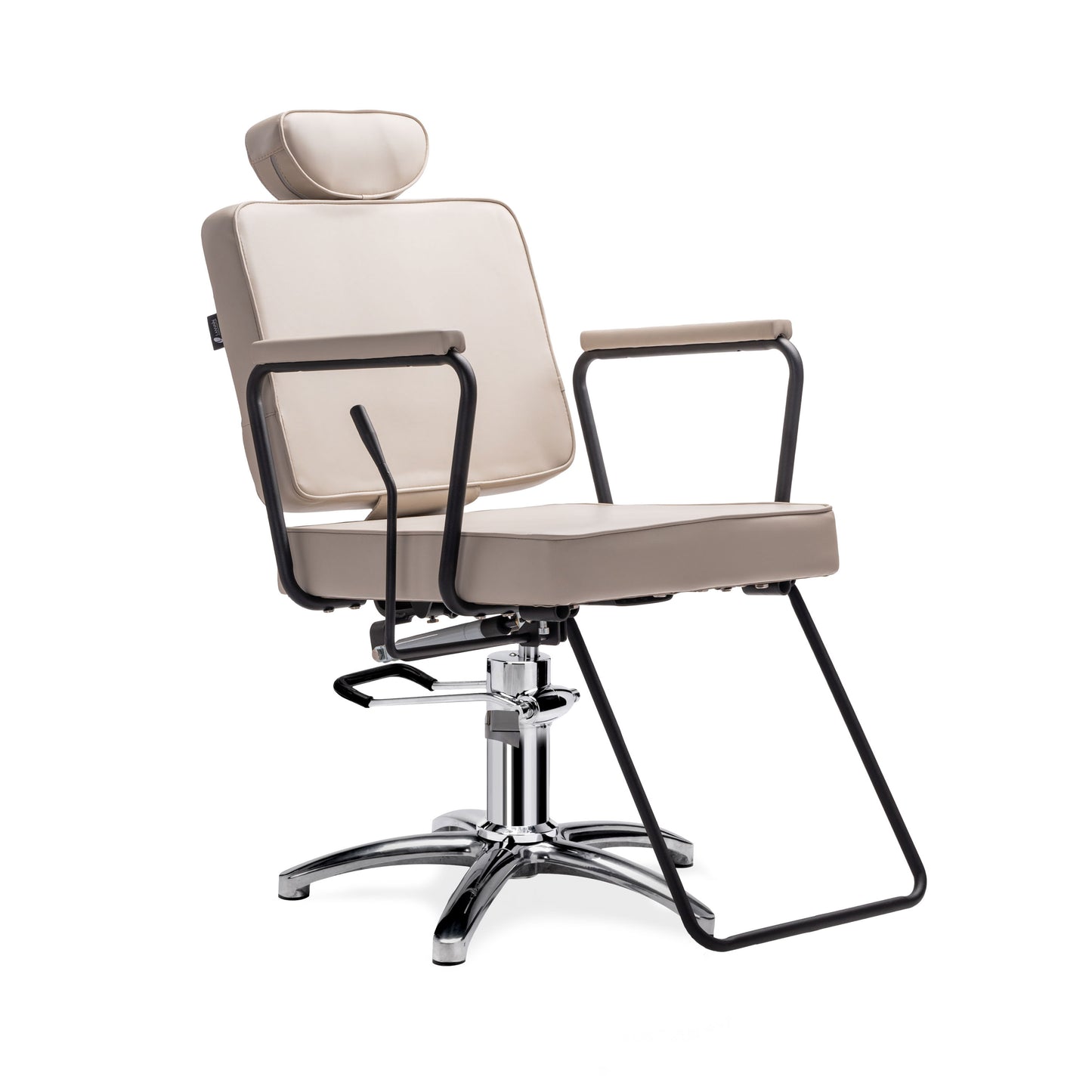 Jena All-Purpose Reclining Salon Chair