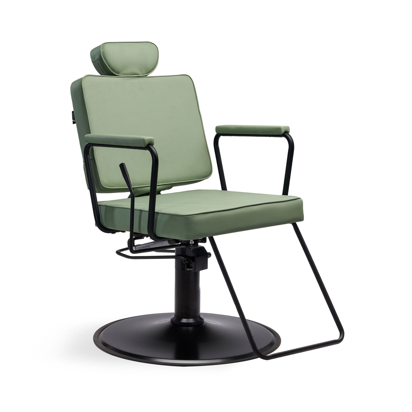 Jena All-Purpose Reclining Salon Chair