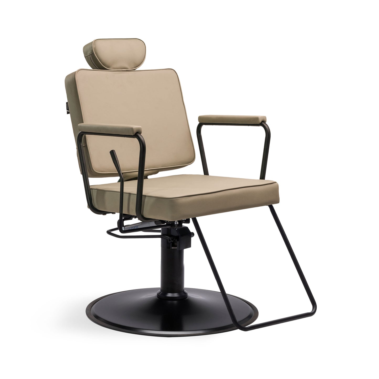Jena All-Purpose Reclining Salon Chair