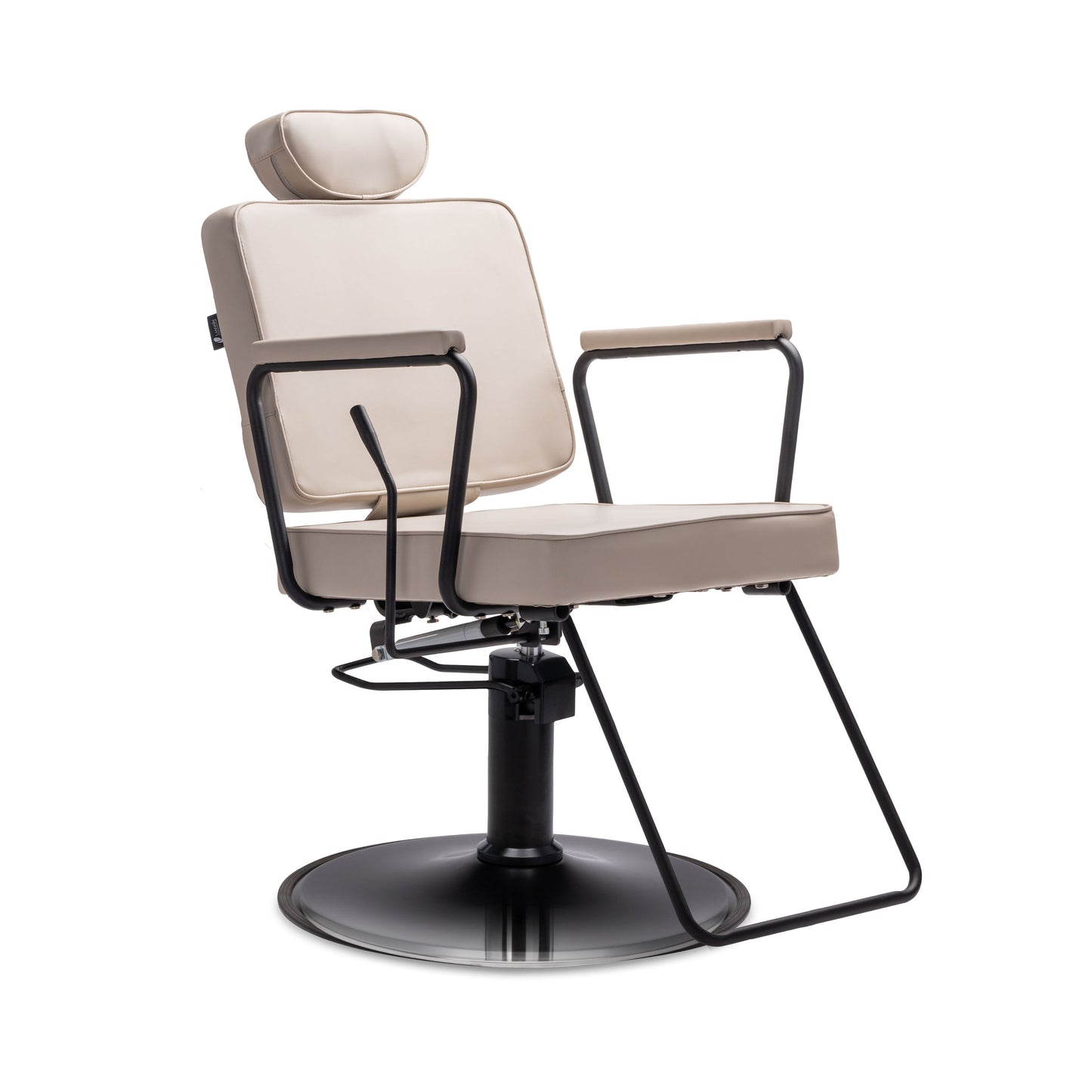 Jena All-Purpose Reclining Salon Chair