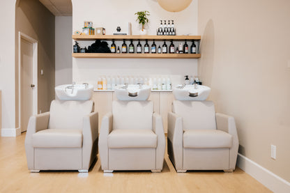 Lea Shampoo Backwash Unit