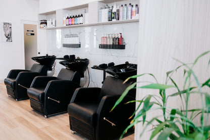 Lounge Shampoo Backwash Unit