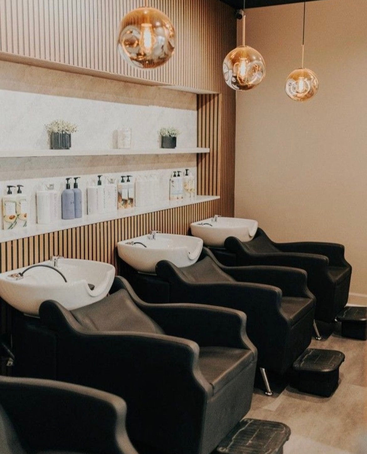 Asher Shampoo Backwash Unit