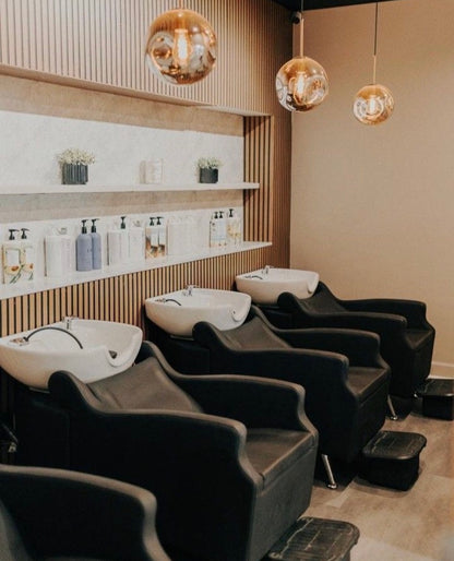 Asher Shampoo Backwash Unit
