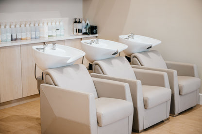 Lea Shampoo Backwash Unit