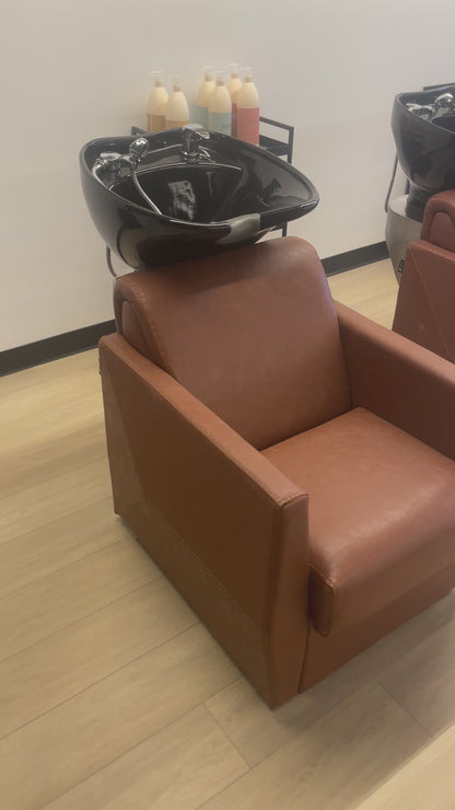 Lea Shampoo Backwash Unit